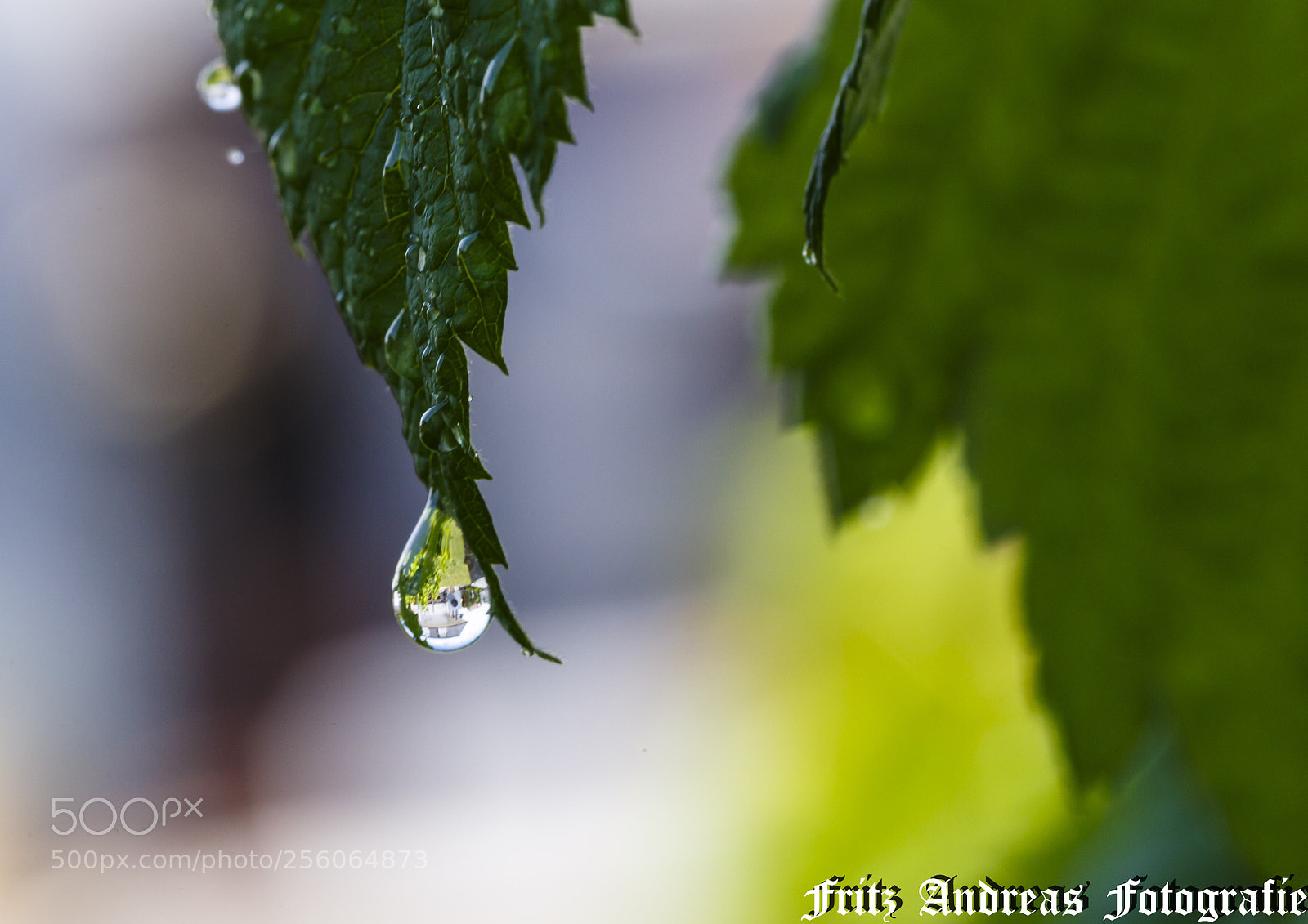 Canon EOS 6D sample photo. Wassertropfen 1.0 photography