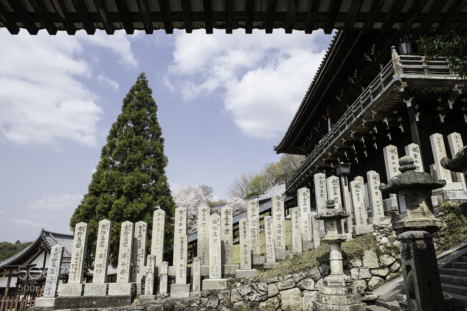 Canon EOS 6D Mark II sample photo. Quiet photography