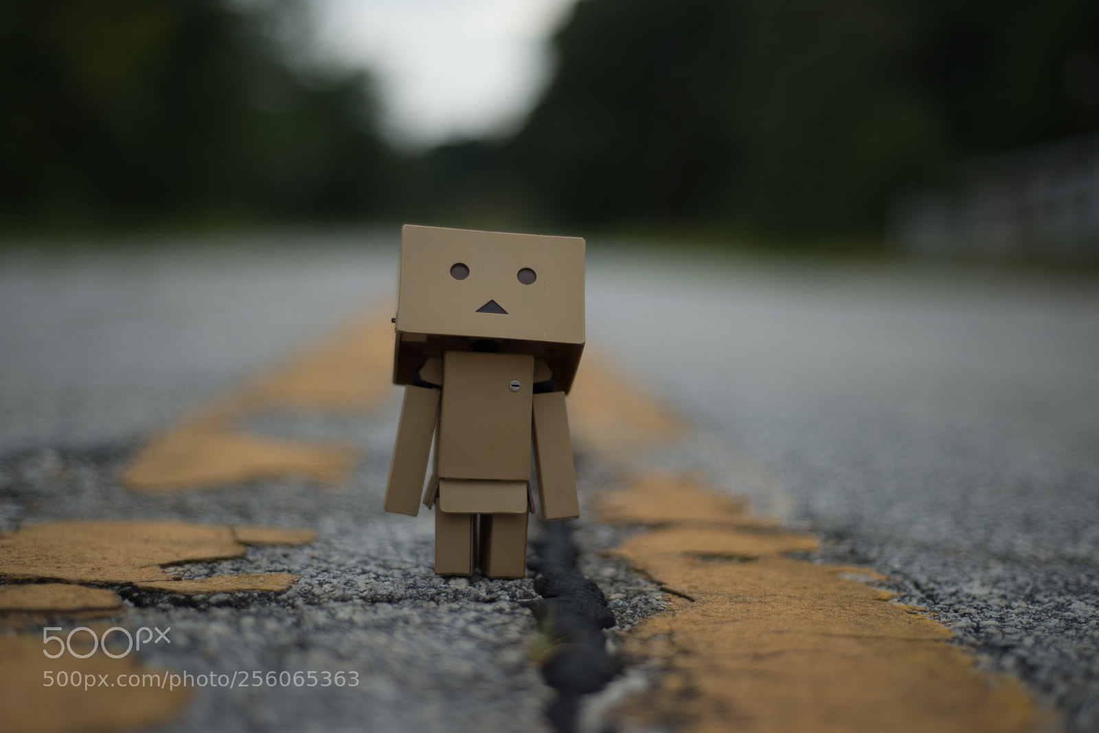 Nikon D610 sample photo. Danbo - griffin, ga photography