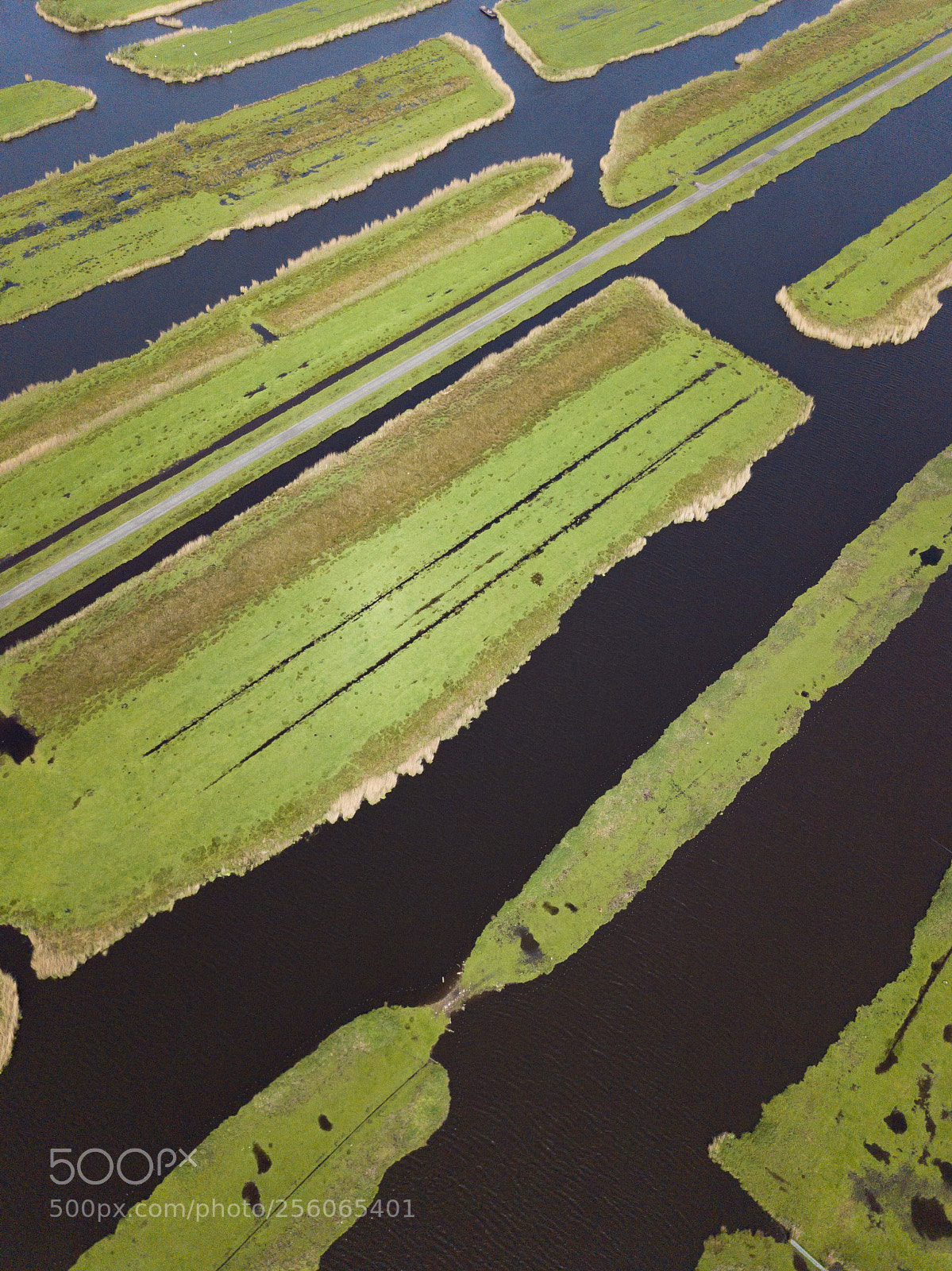 DJI FC220 sample photo. Untitled photography