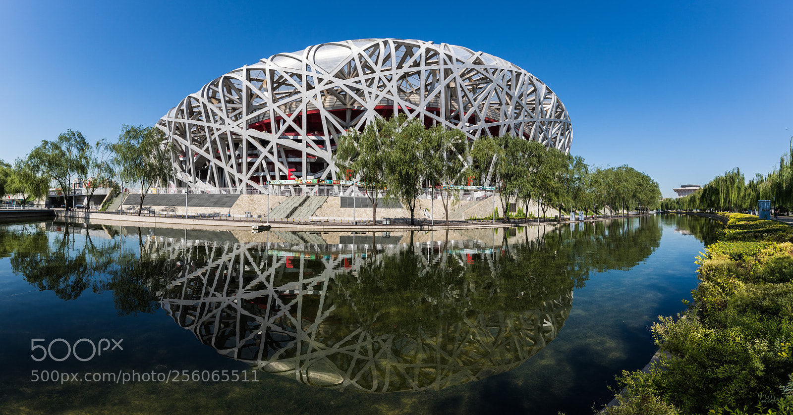 Canon EOS 5D Mark IV sample photo. Bird's nest. photography