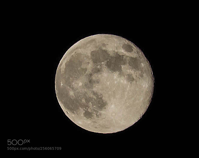 Olympus OM-D E-M5 sample photo. Big moon rising photography