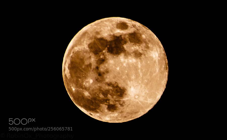 Nikon D7000 sample photo. Full moon  photography