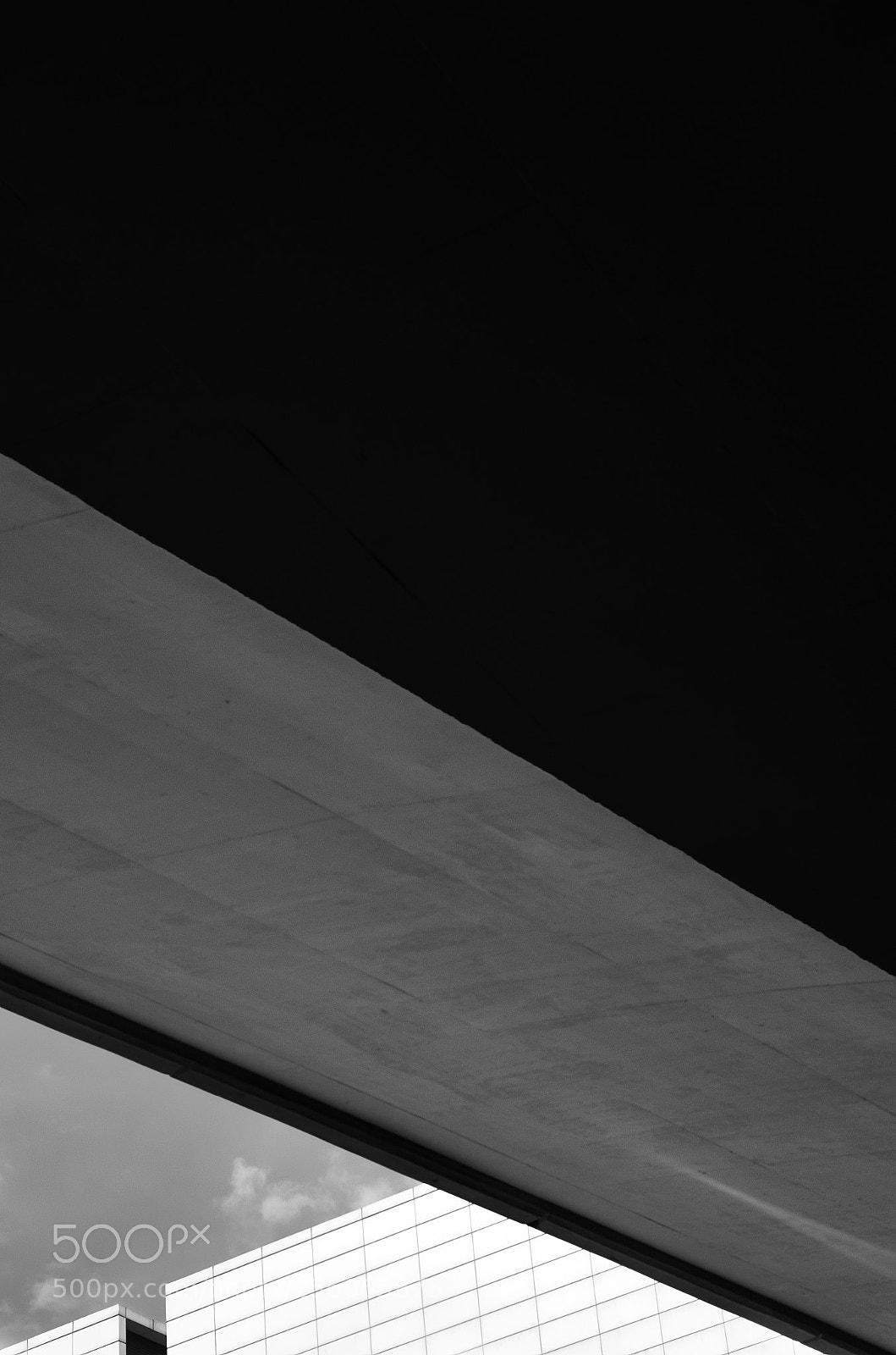 Nikon D5100 sample photo. Black and white in photography