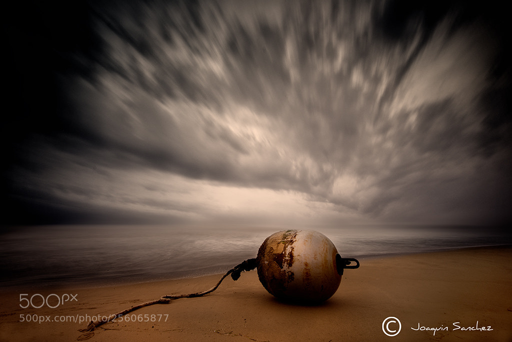 Nikon D800 sample photo. La mata (torrevieja) photography