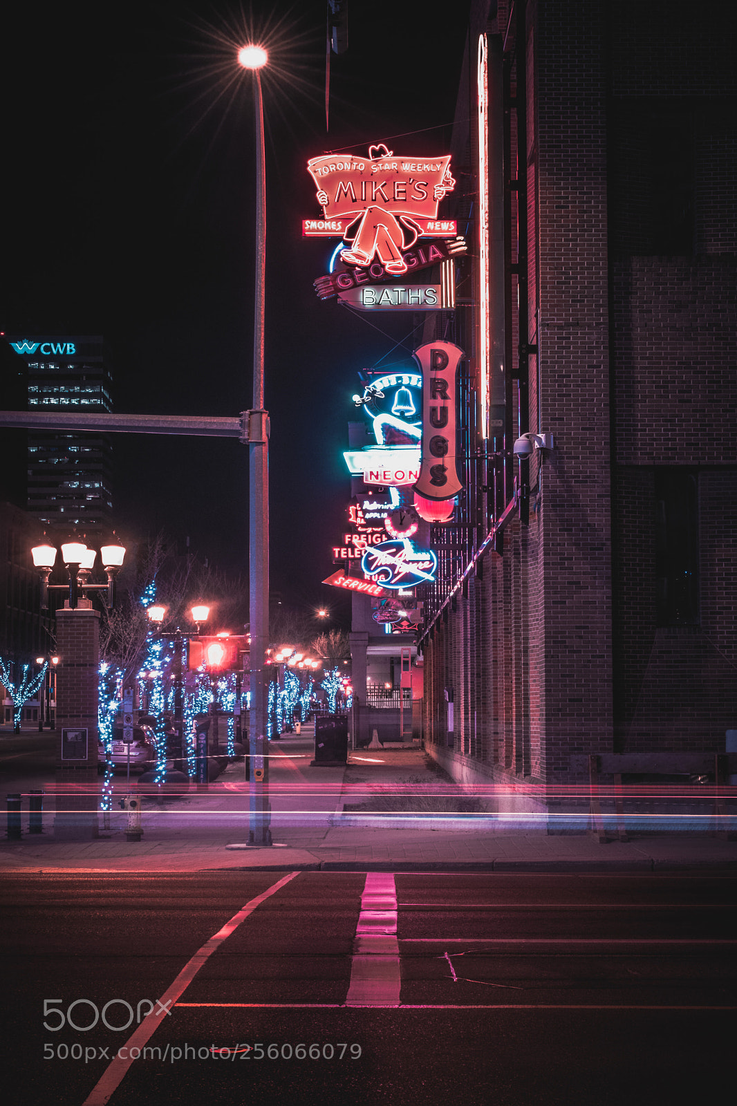Nikon D5300 sample photo. Edmonton's neon sign museum photography