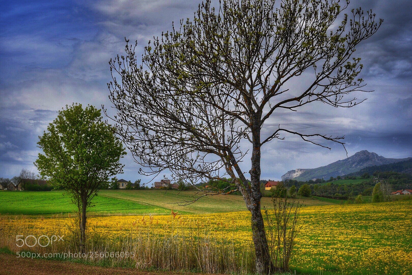 Nikon D750 sample photo. Untitled photography