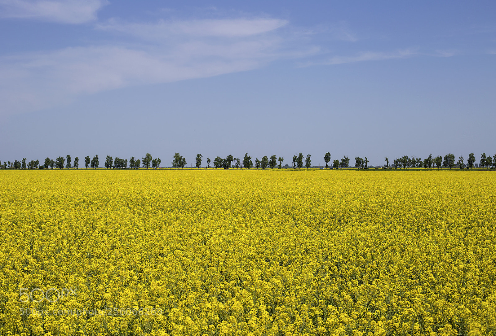 Canon EOS 6D sample photo. Symmetry. photography