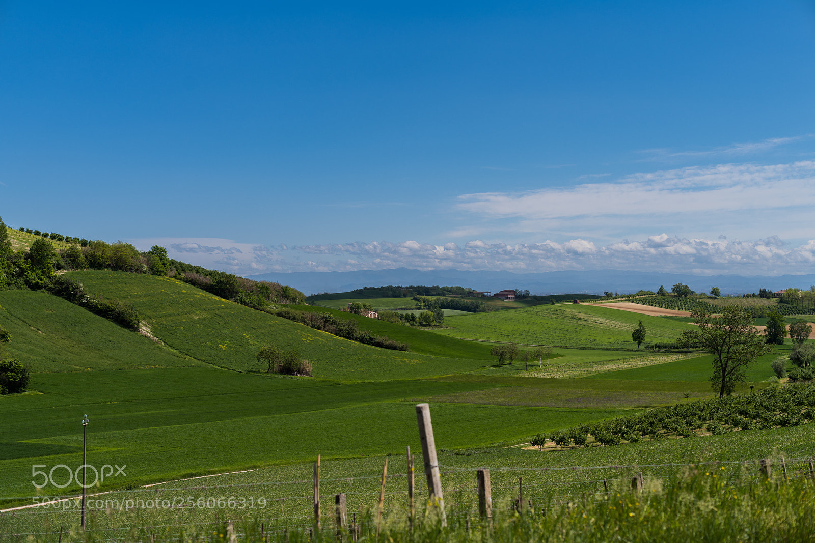 Nikon D850 sample photo. Untitled photography