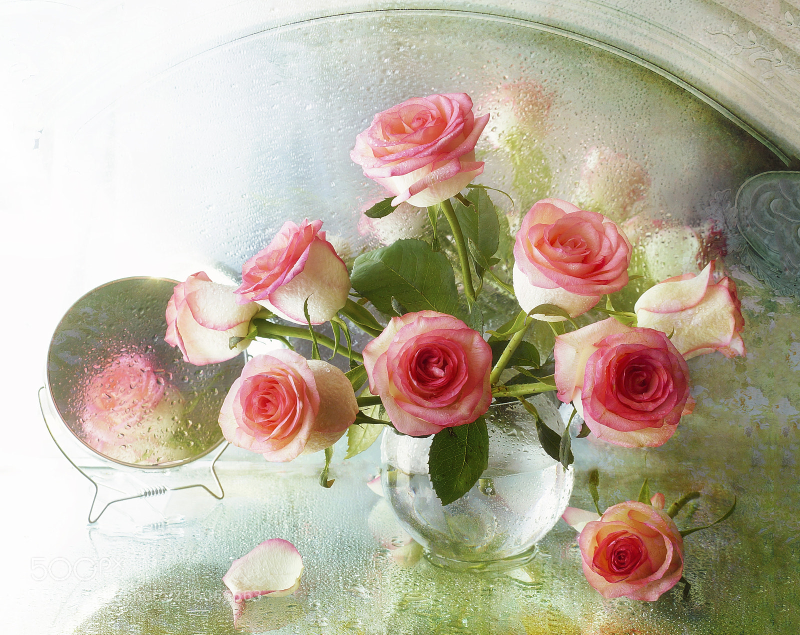 Sony SLT-A57 sample photo. Pink roses photography
