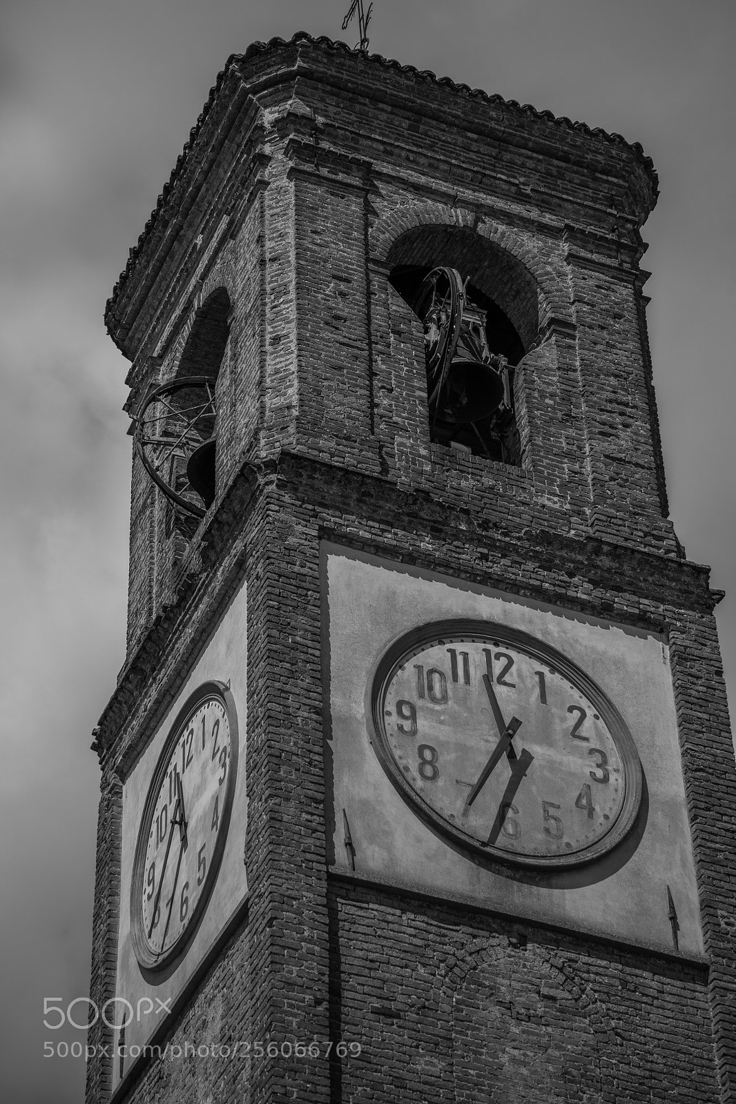 Nikon D850 sample photo. Untitled photography