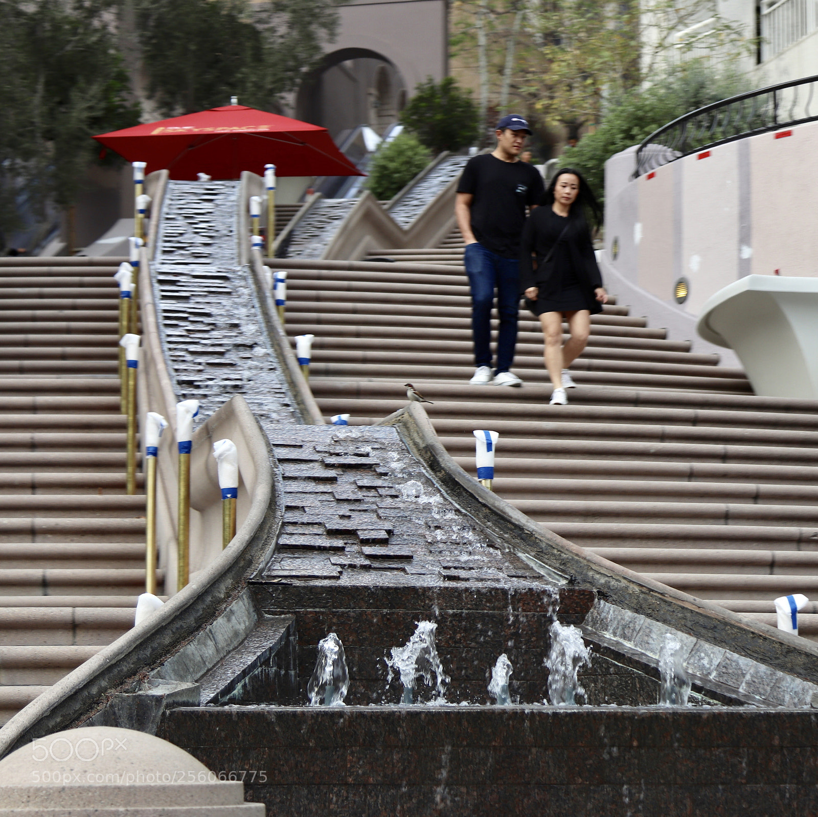 Canon EOS 800D (EOS Rebel T7i / EOS Kiss X9i) sample photo. Couple coming down stairs photography