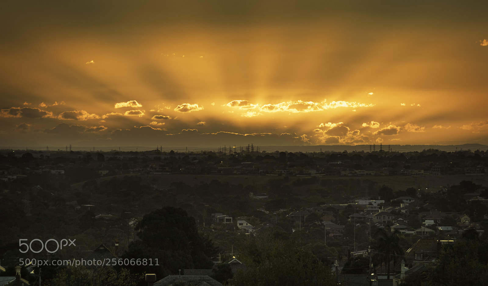 Canon EOS 80D sample photo. Moonee ponds sunset photography