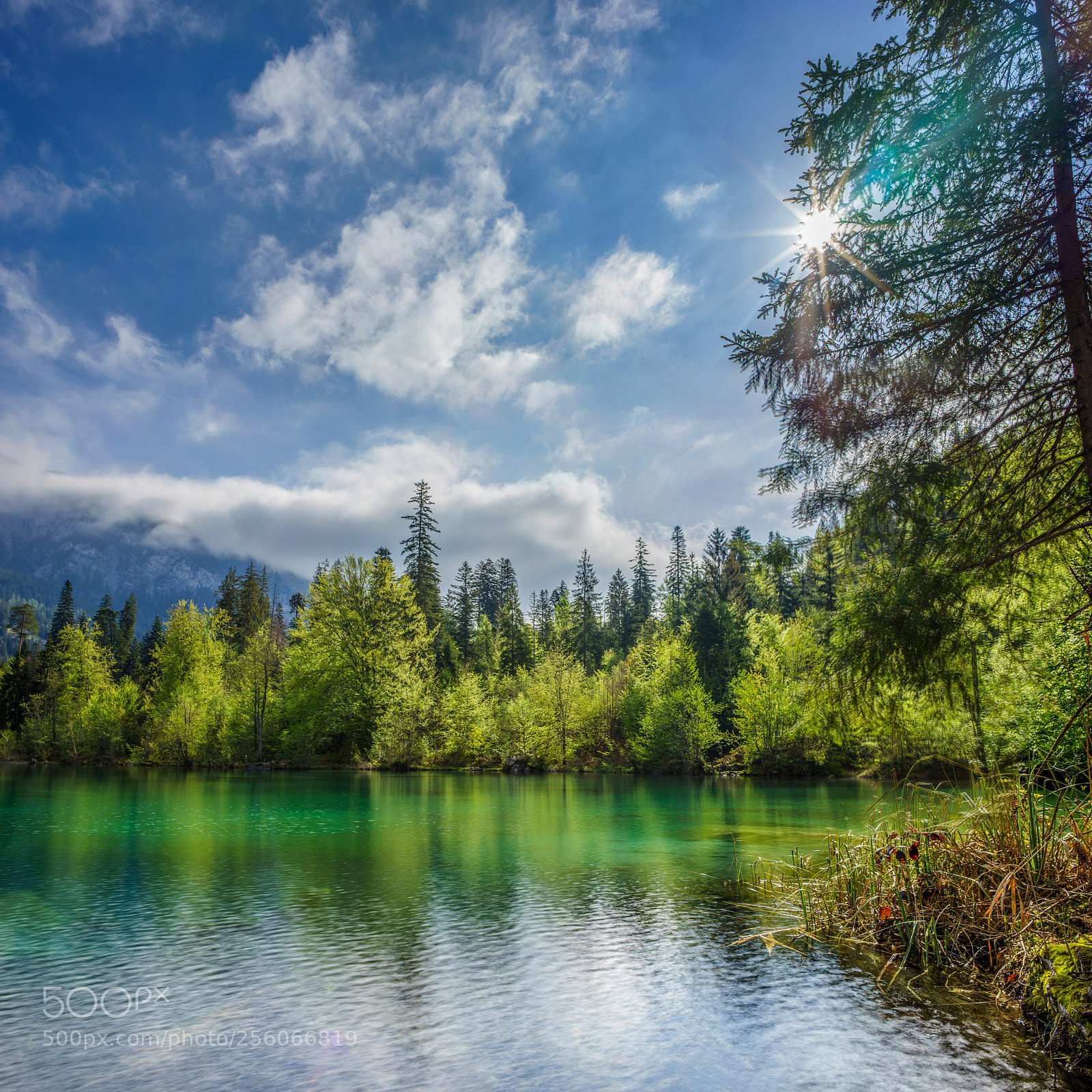 Sony a7 II sample photo. Crestasee photography