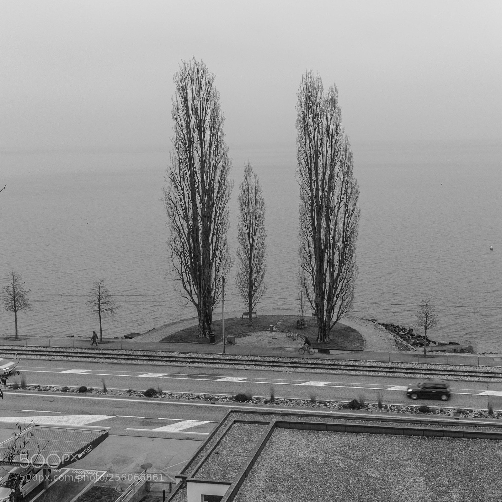 Nikon D3400 sample photo. Quai max-petitpierre photography