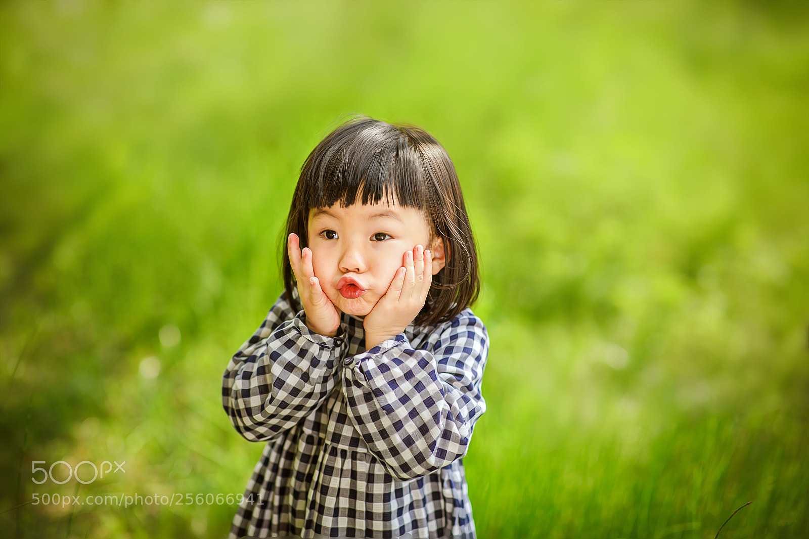 Canon EOS 5D Mark IV sample photo. Untitled photography