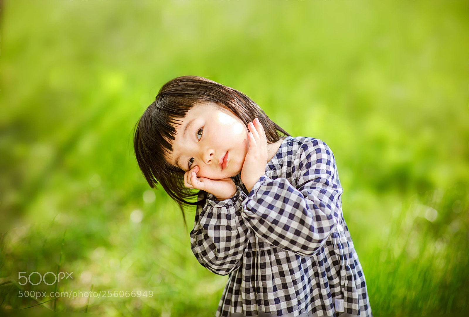 Canon EOS 5D Mark IV sample photo. Untitled photography