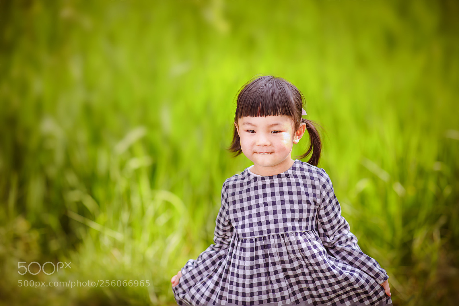 Canon EOS 5D Mark IV sample photo. Untitled photography