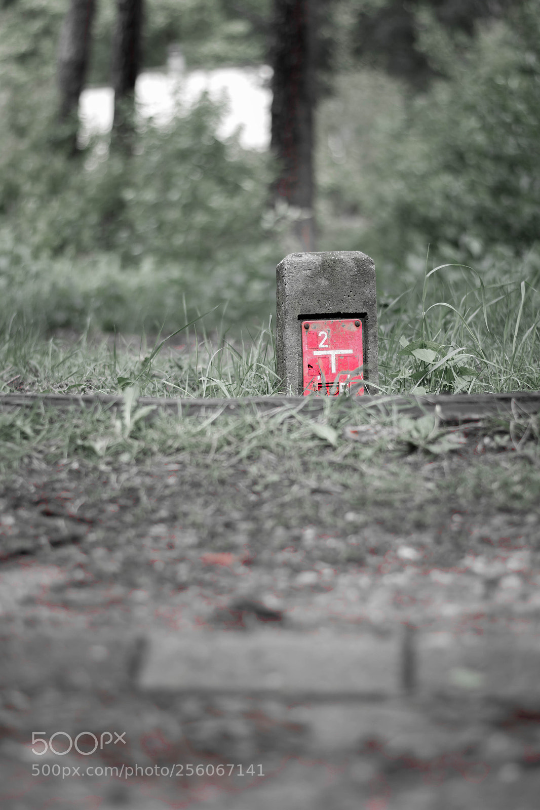 Nikon D3100 sample photo. Fire hydrant! photography