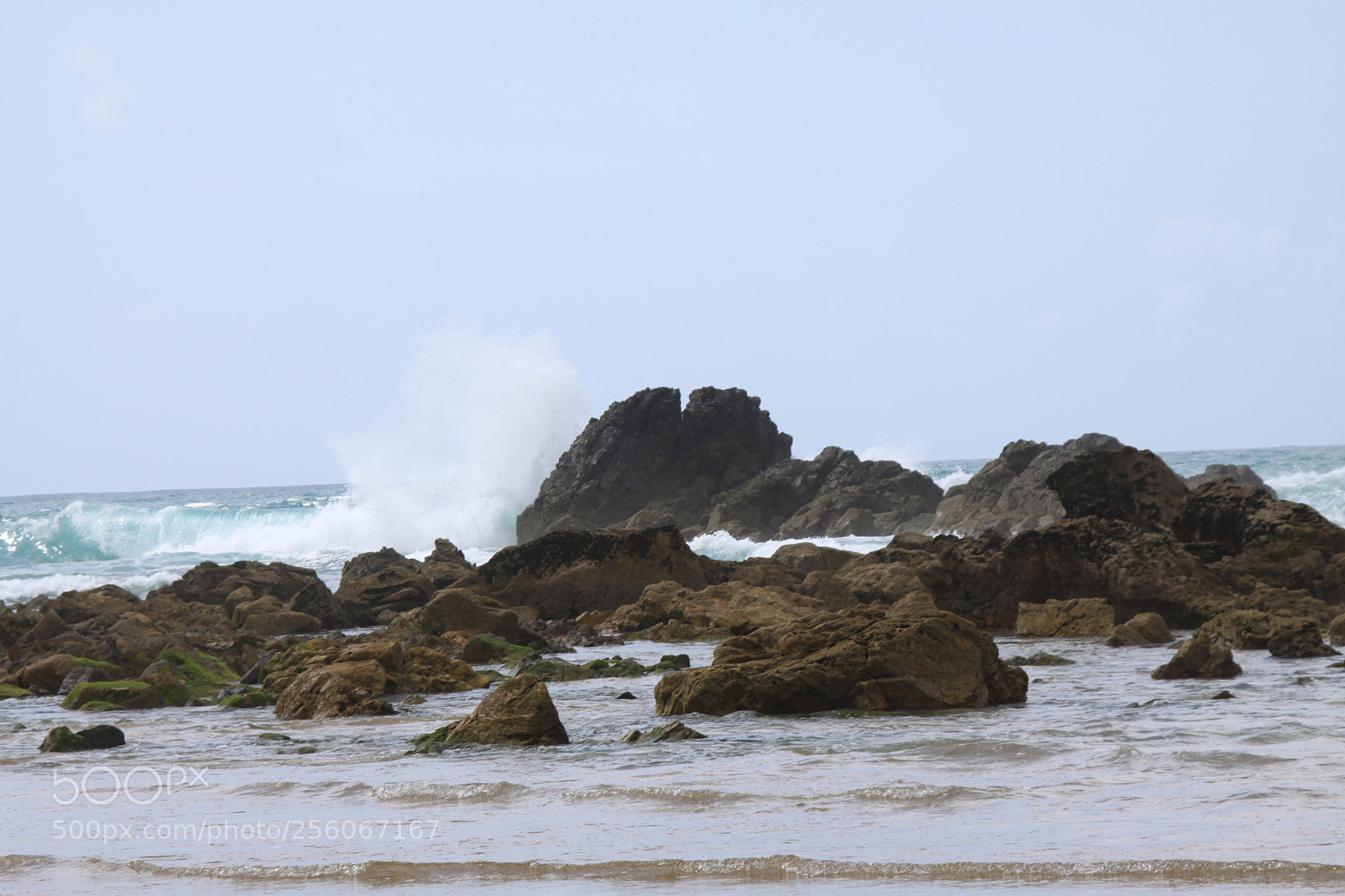 Canon EOS 50D sample photo. Algarve, portugal, march 2011 photography