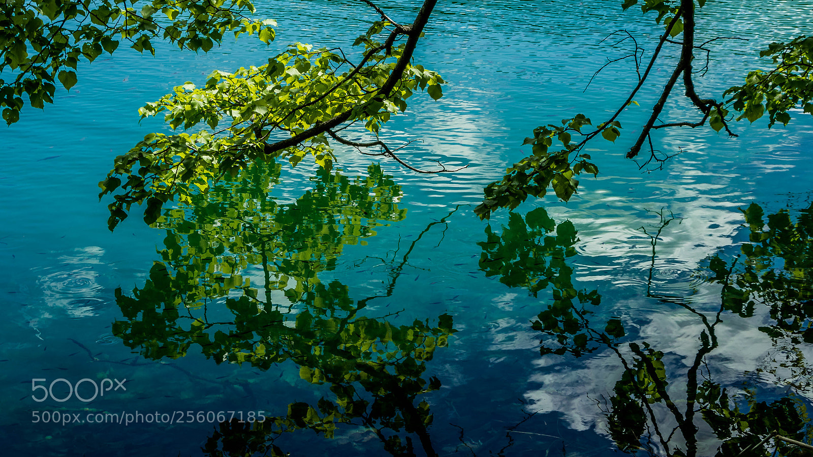 Nikon D5300 sample photo. Reflet photography