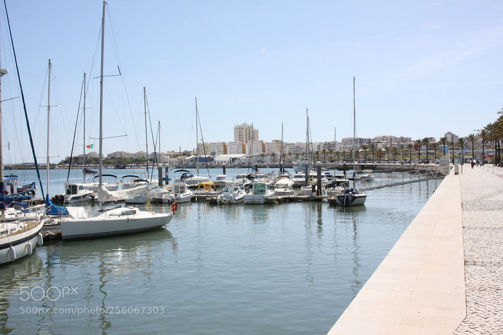 Canon EOS 50D sample photo. Algarve, portugal, march 2011 photography