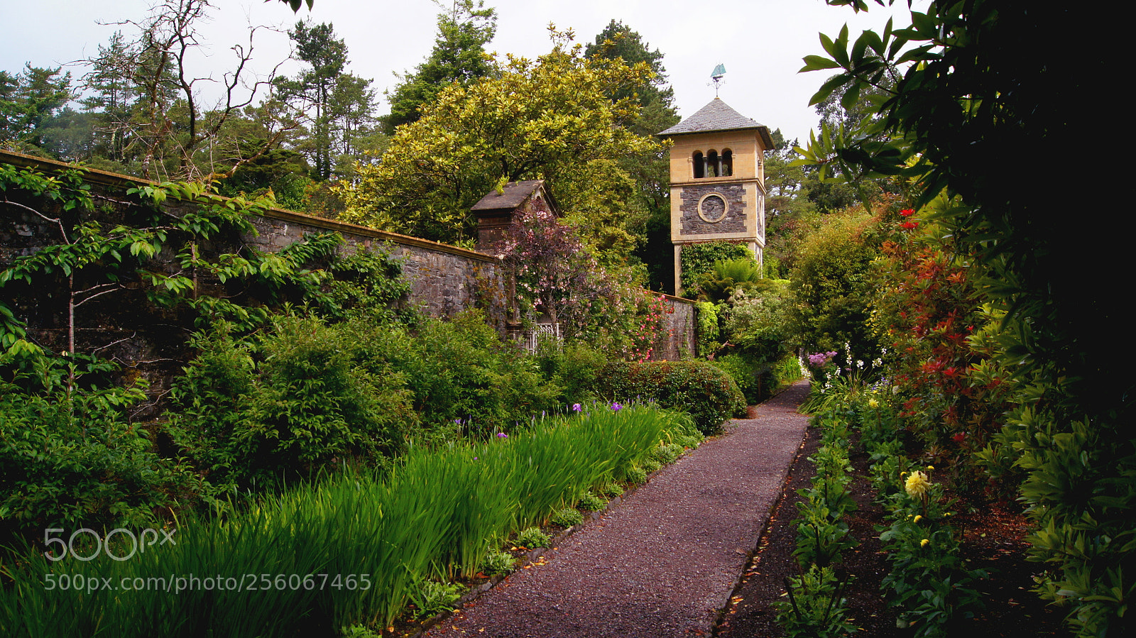 Sony SLT-A55 (SLT-A55V) sample photo. Garnish's clocktower photography
