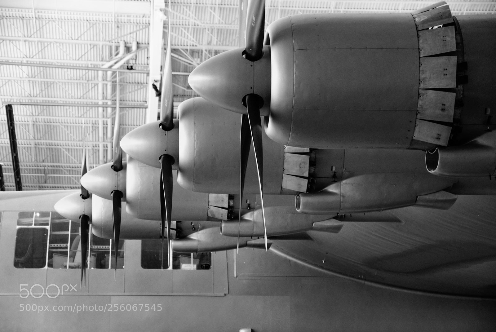 Nikon D80 sample photo. H-4 hercules port side photography