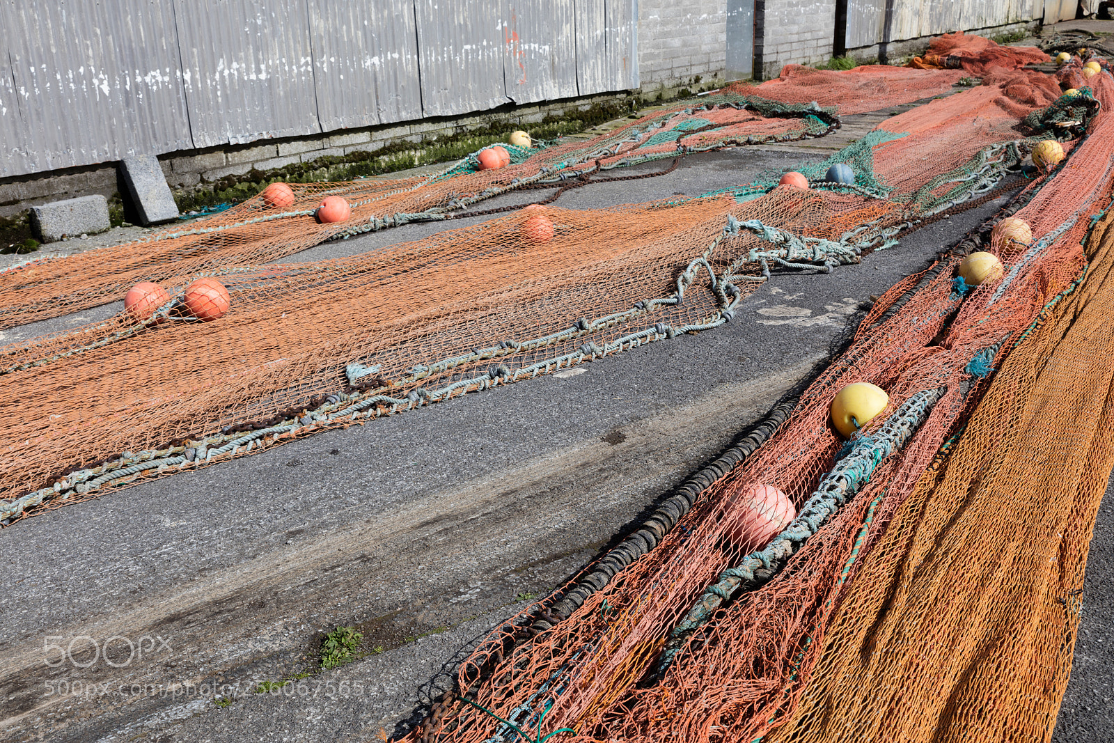 Canon EOS 5DS R sample photo. Fishing net on a photography