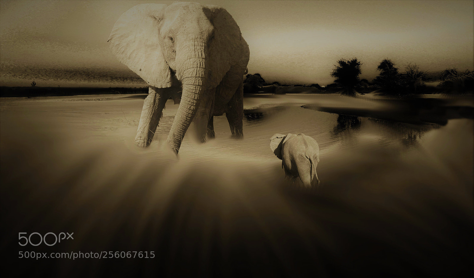 Canon EOS 5D Mark II sample photo. An african dream photography