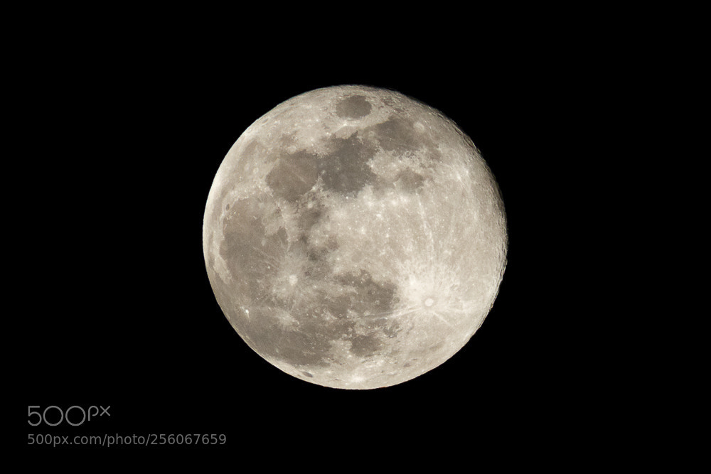 Canon PowerShot SX60 HS sample photo. The full moon photography