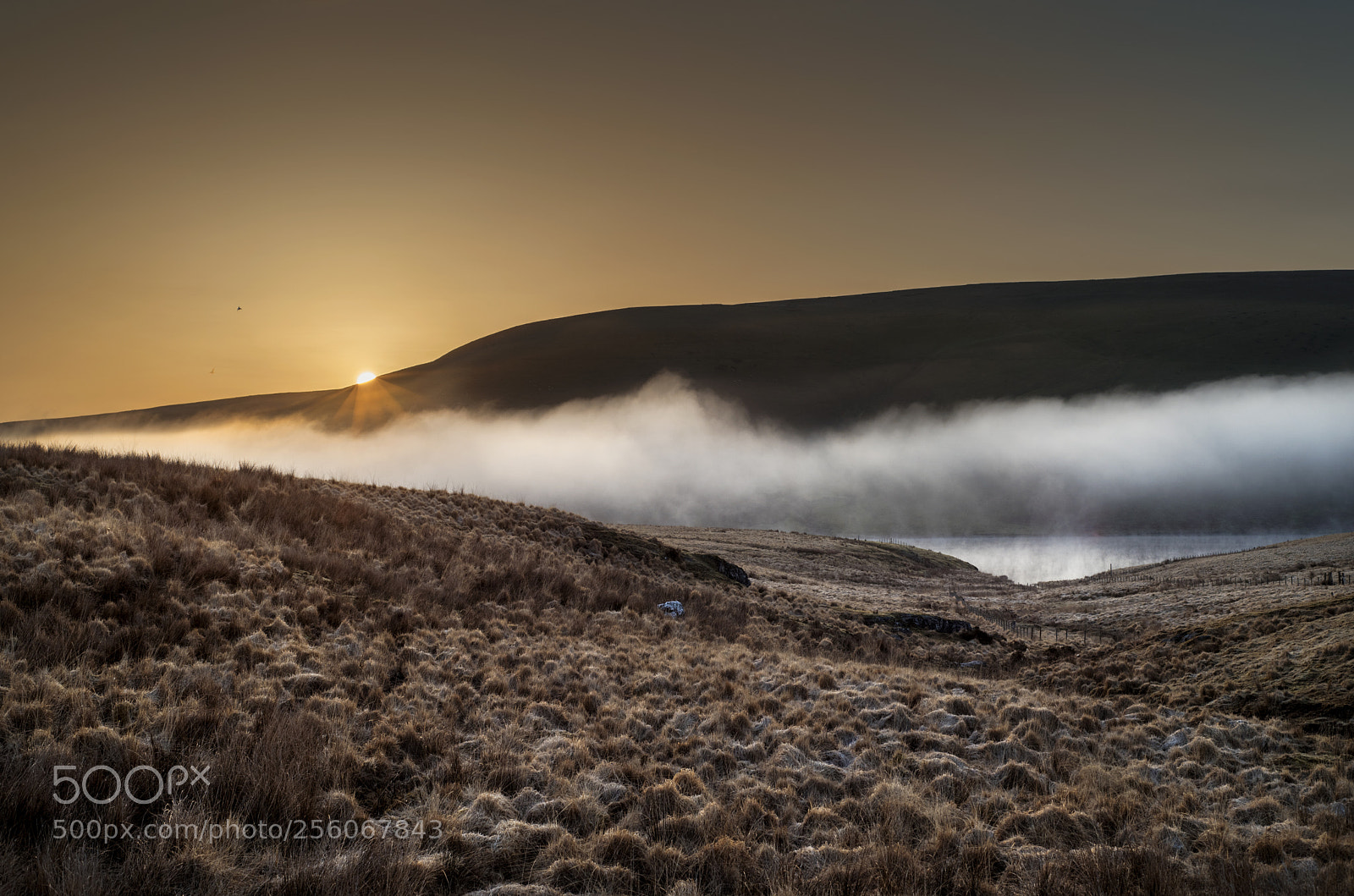 Nikon D750 sample photo. Elan valley sunrise photography