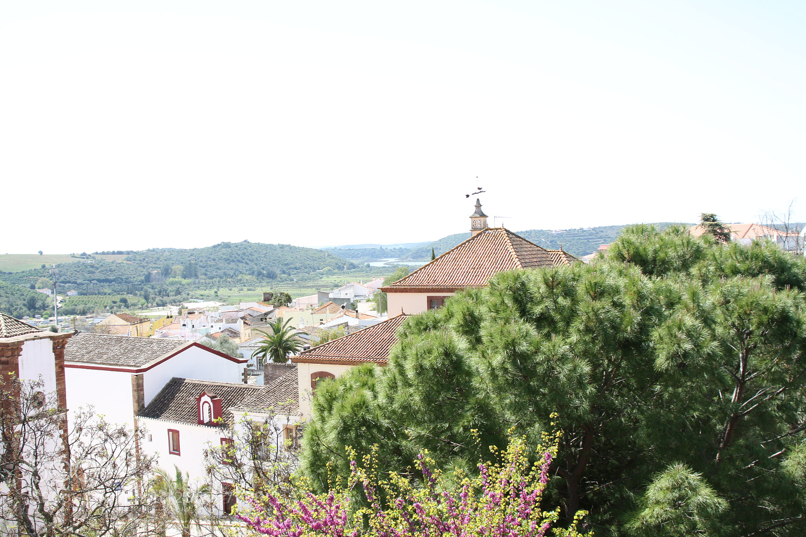 Canon EOS 50D sample photo. Algarve, portugal, march 2011 photography