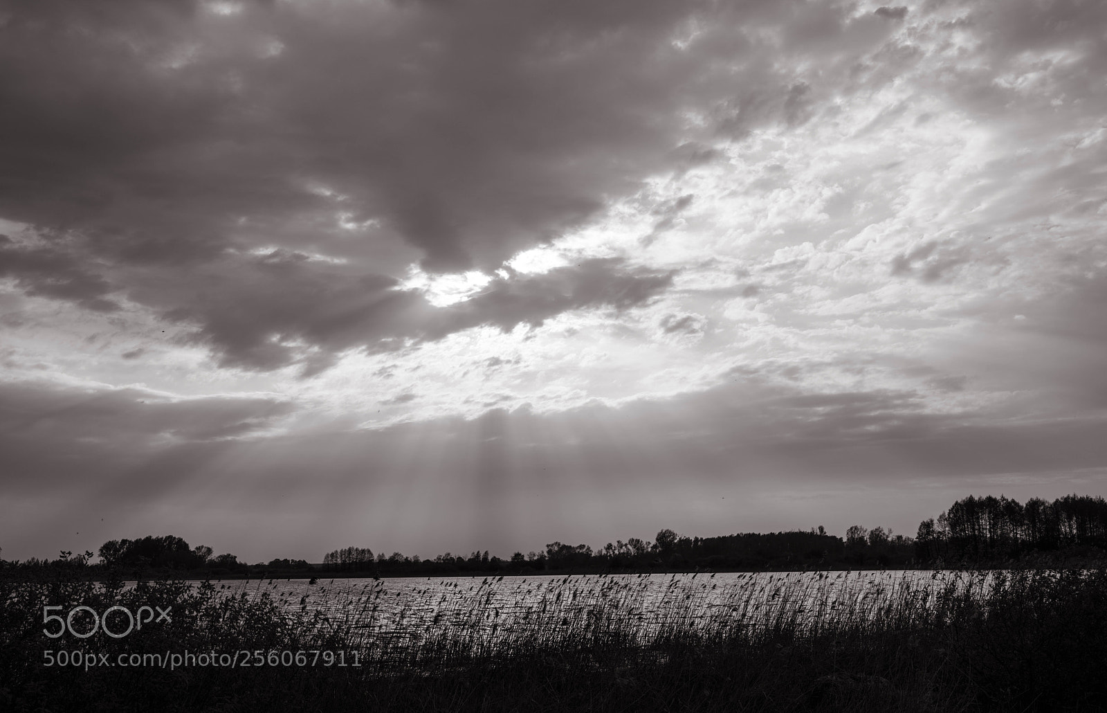 Nikon D810 sample photo. Before the rain photography