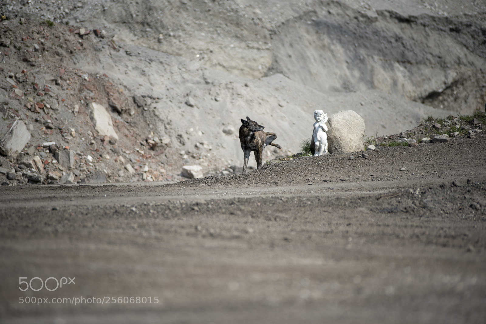 Nikon D750 sample photo. No comment needed...... photography