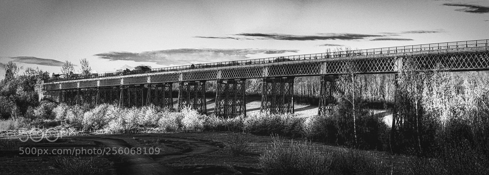 Canon EOS 5D Mark II sample photo. Bennerley viaduct photography