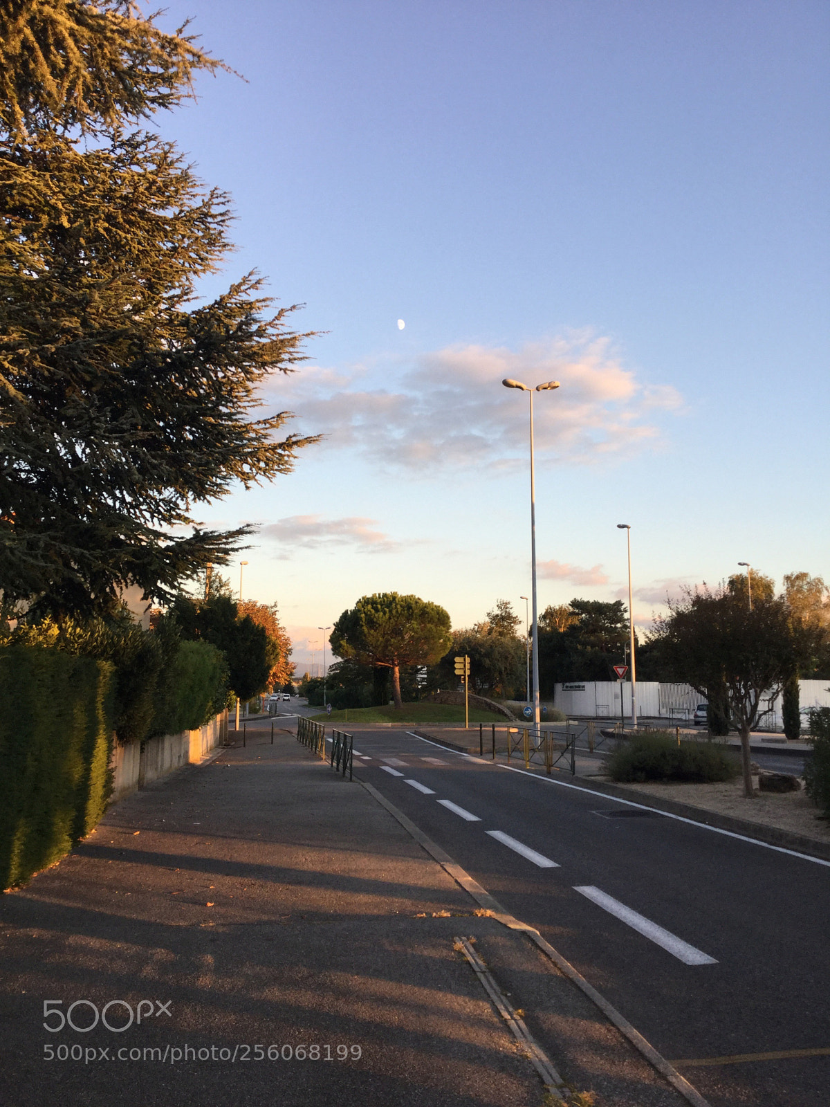 Apple iPod touch sample photo. A simple day photography