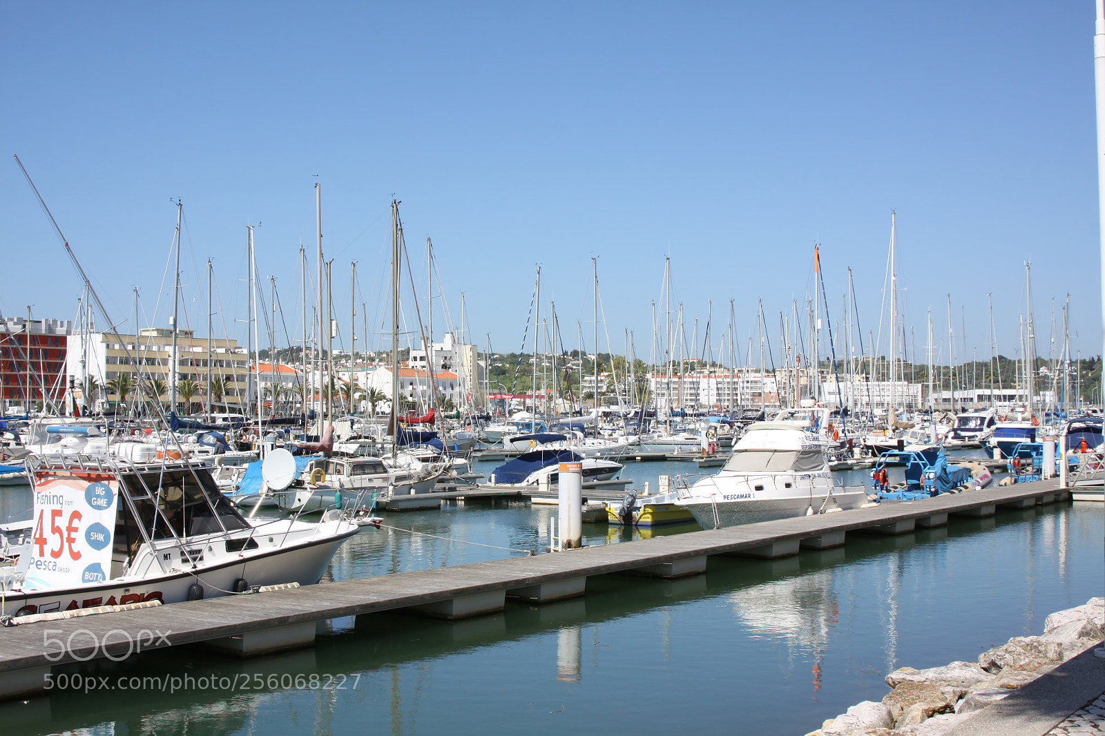 Canon EOS 50D sample photo. Algarve, portugal, march 2011 photography