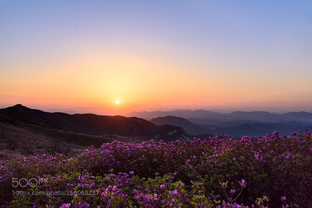 Nikon D750 sample photo. Mountain sunset photography