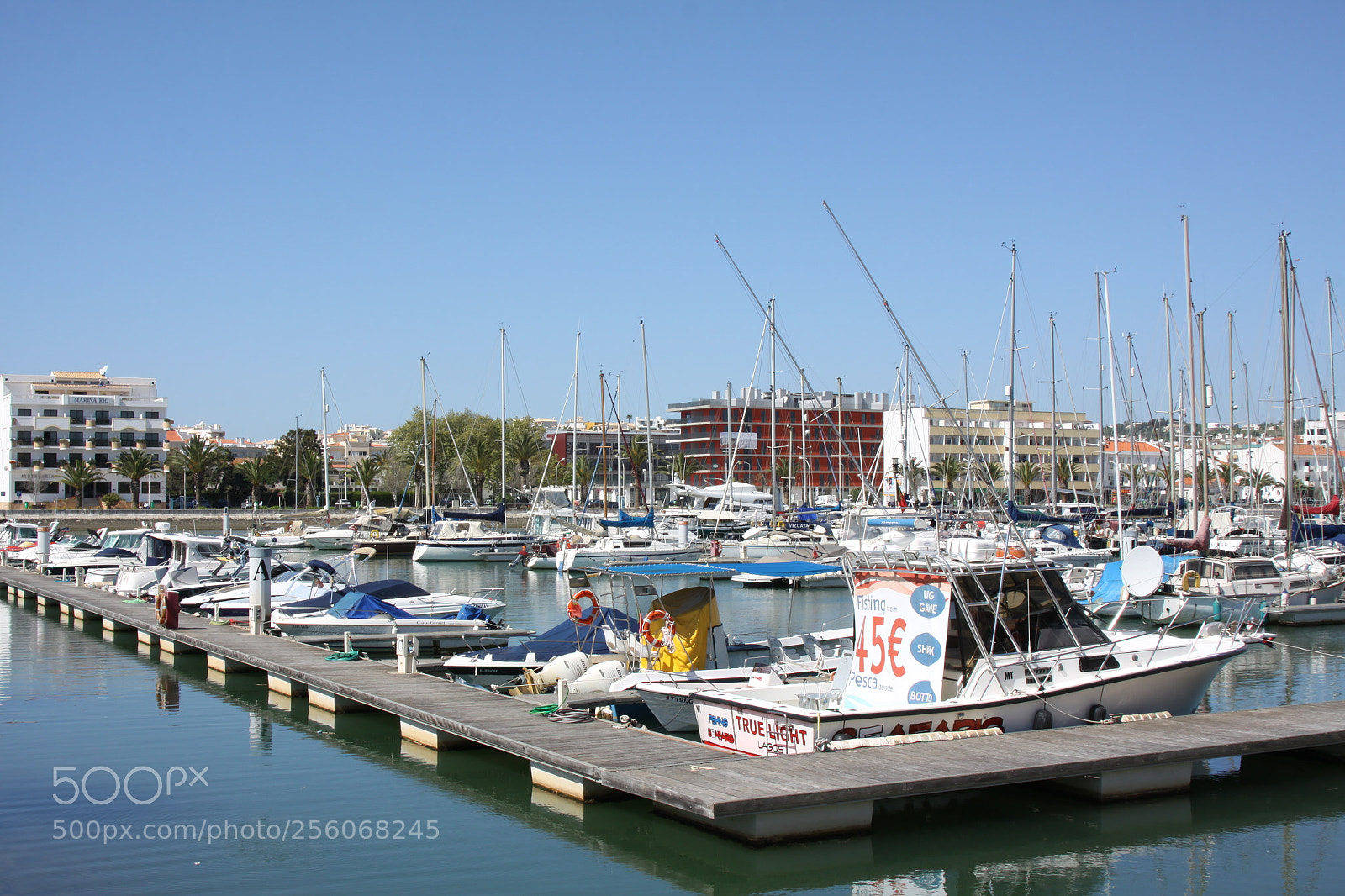 Canon EOS 50D sample photo. Algarve, portugal, march 2011 photography