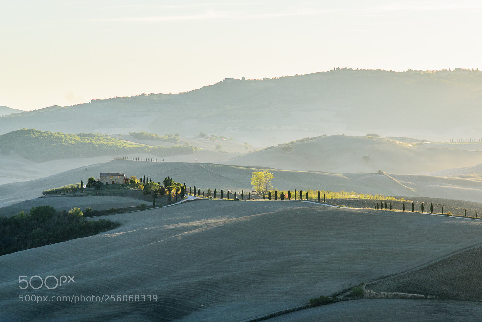 Nikon D750 sample photo. Sunset in tuscany photography