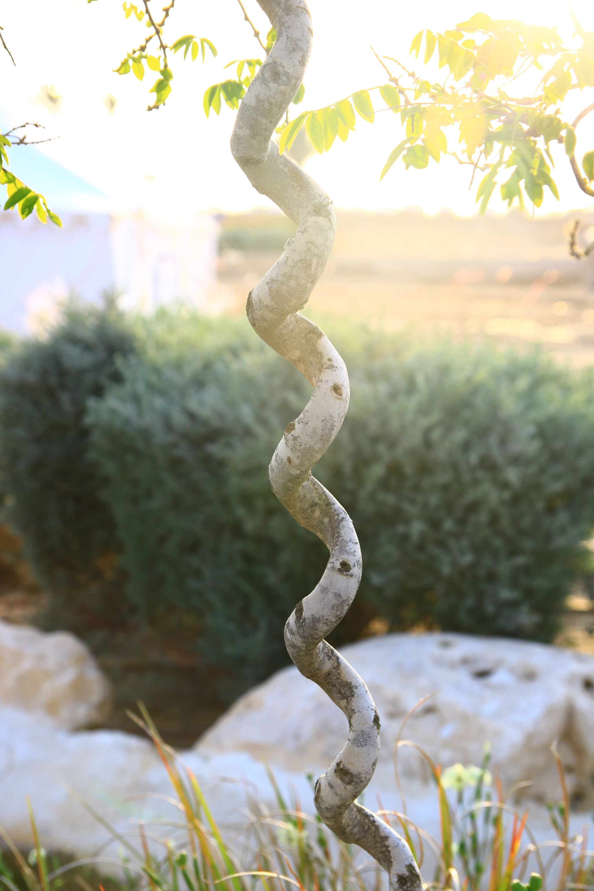Tamron SP AF 17-50mm F2.8 XR Di II LD Aspherical (IF) sample photo. Nature wonders photography