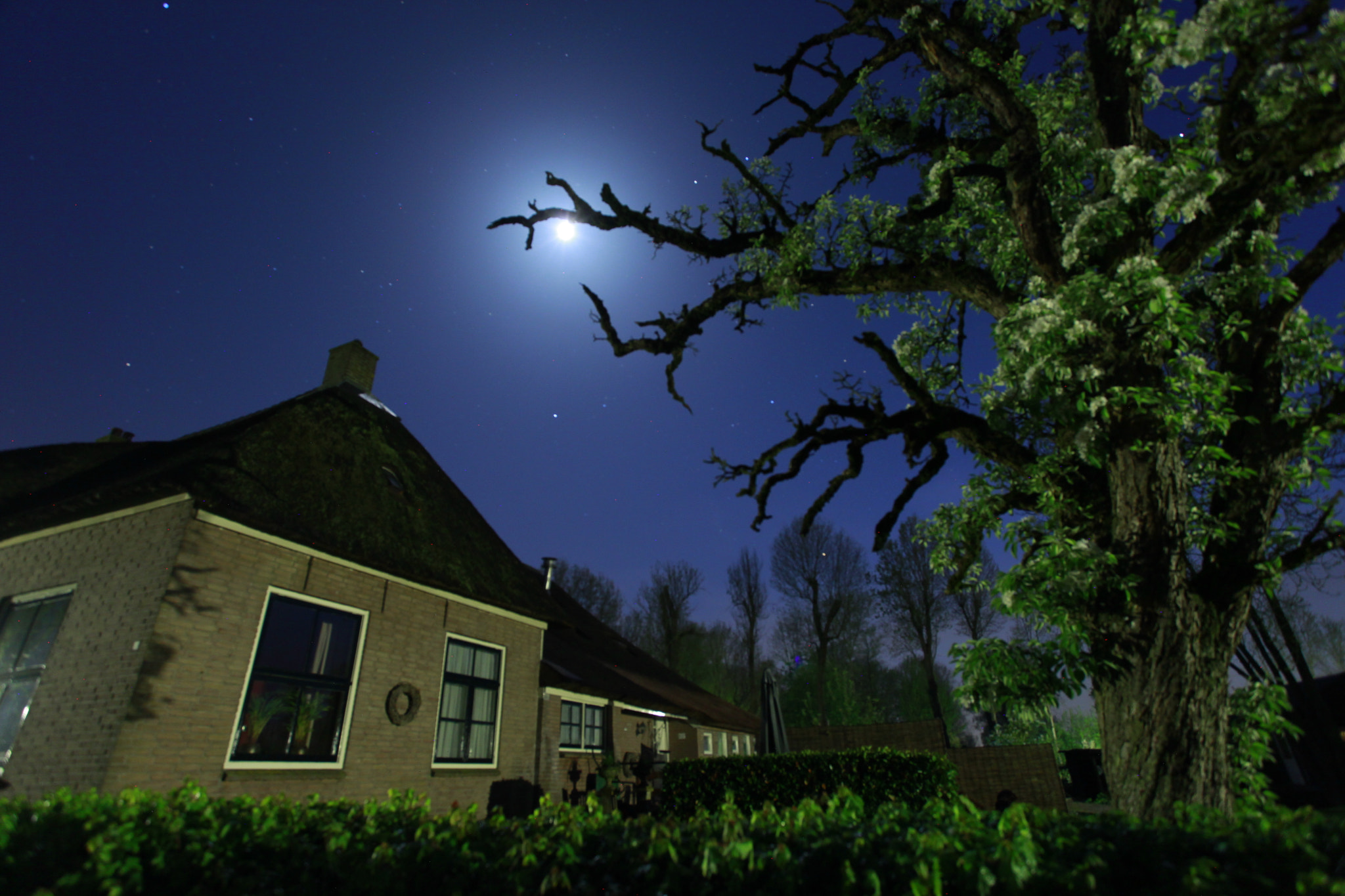 Canon EOS 5D Mark II + Canon EF 17-40mm F4L USM sample photo. Giethoorn, holland photography