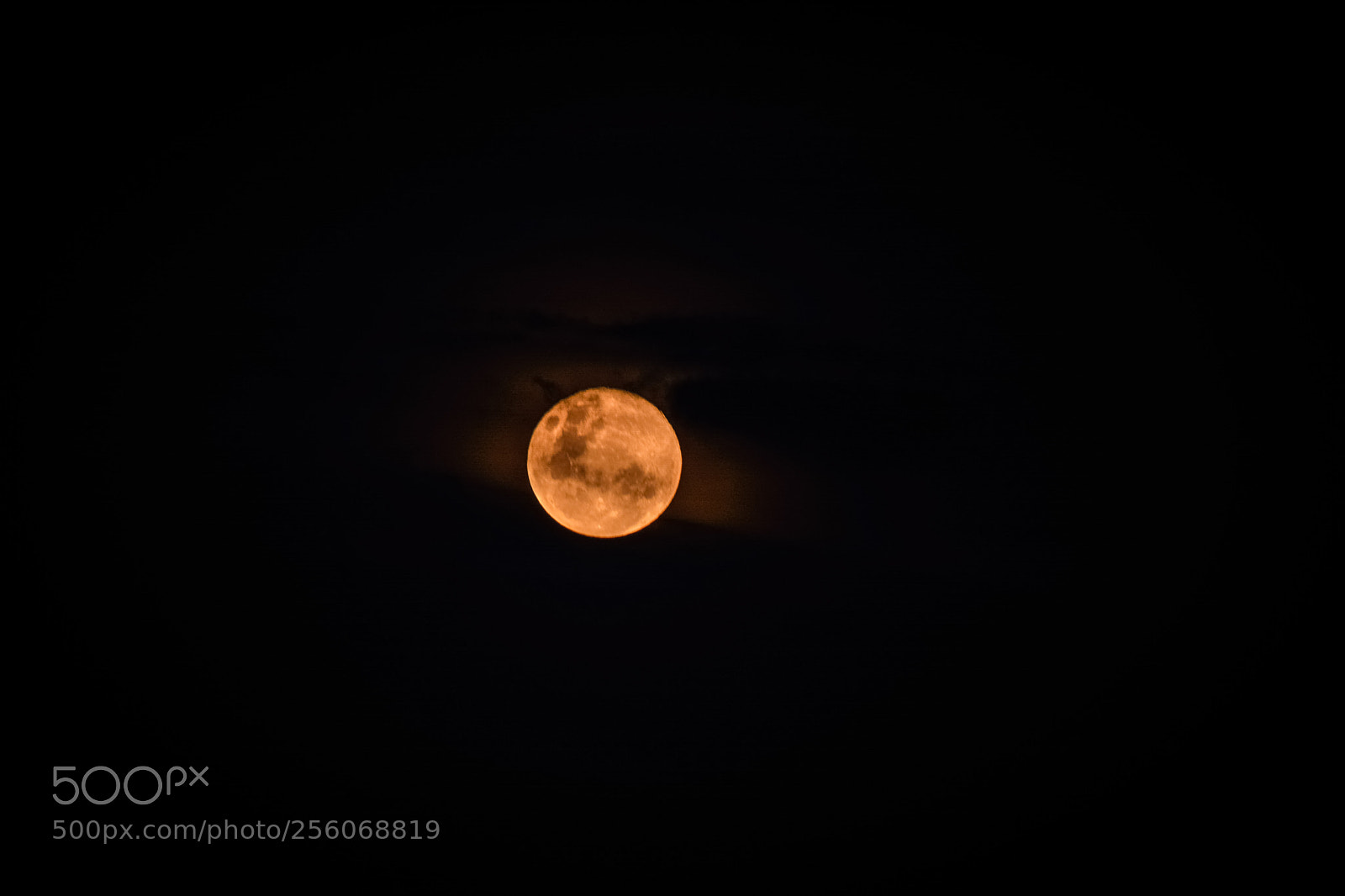 Nikon D5200 sample photo. Lua no horizonte photography