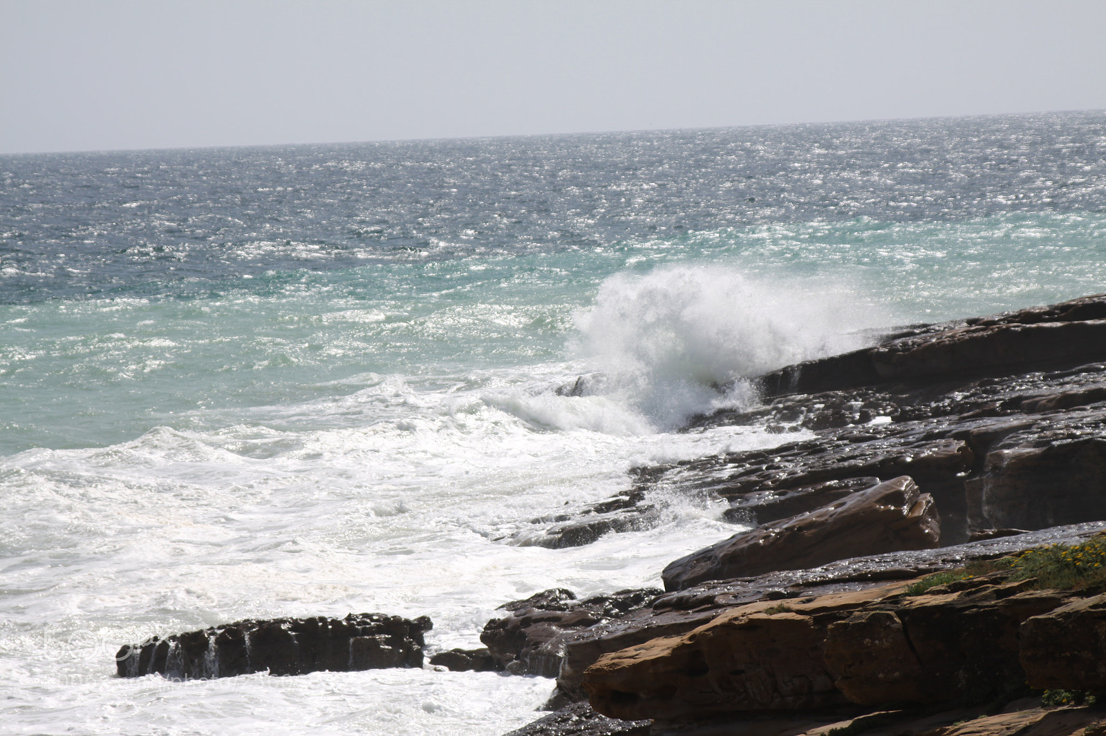 Canon EOS 50D sample photo. Algarve, portugal, march 2011 photography