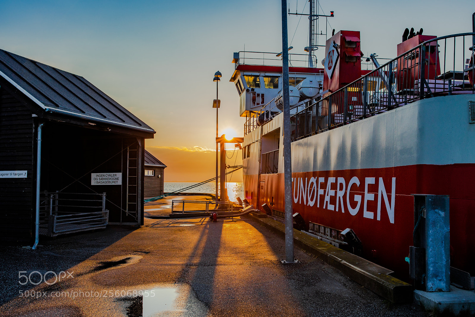 Canon EOS 5D Mark IV sample photo. Morning sun photography