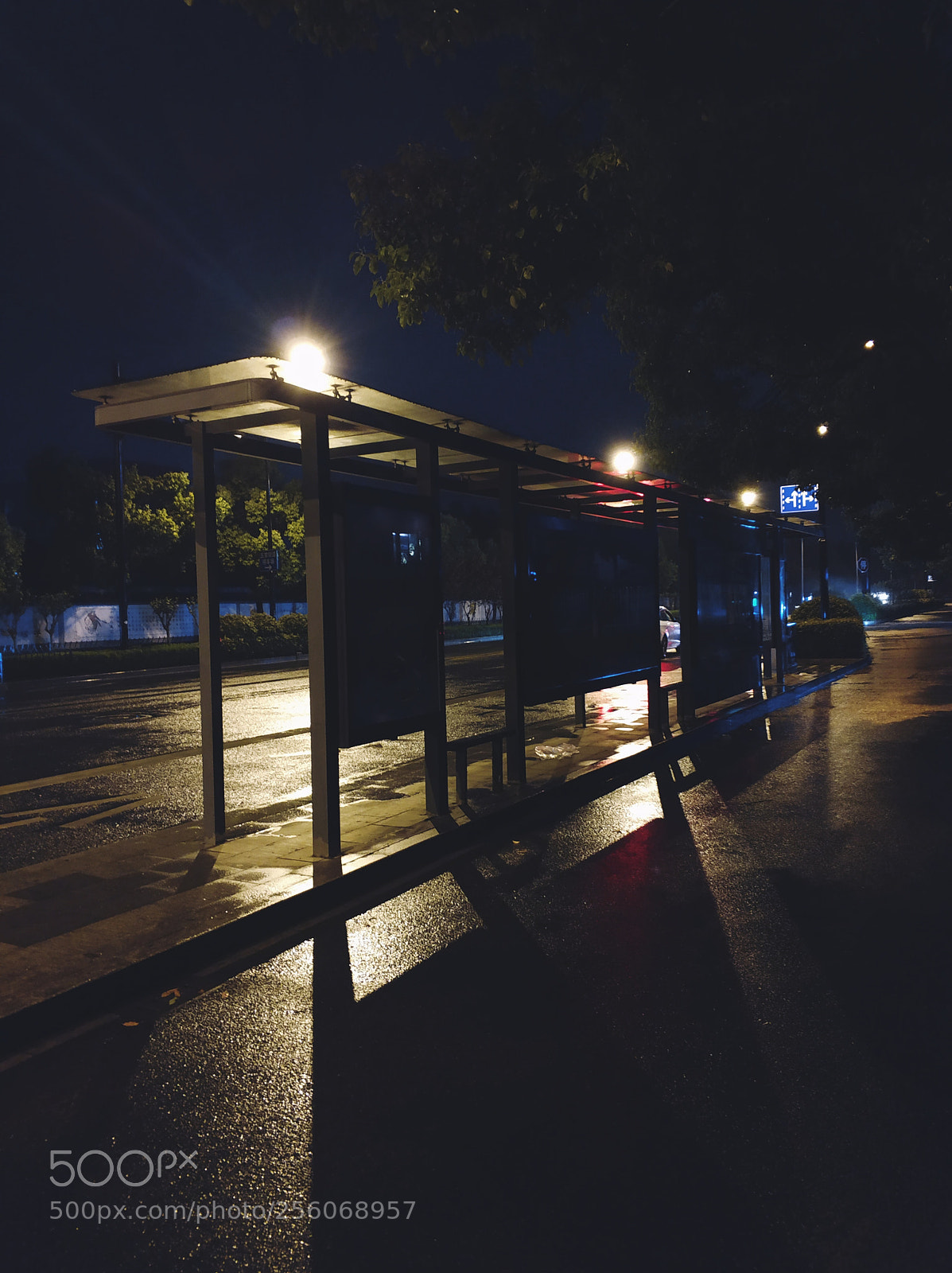 Xiaomi MI6 sample photo. Untitled photography