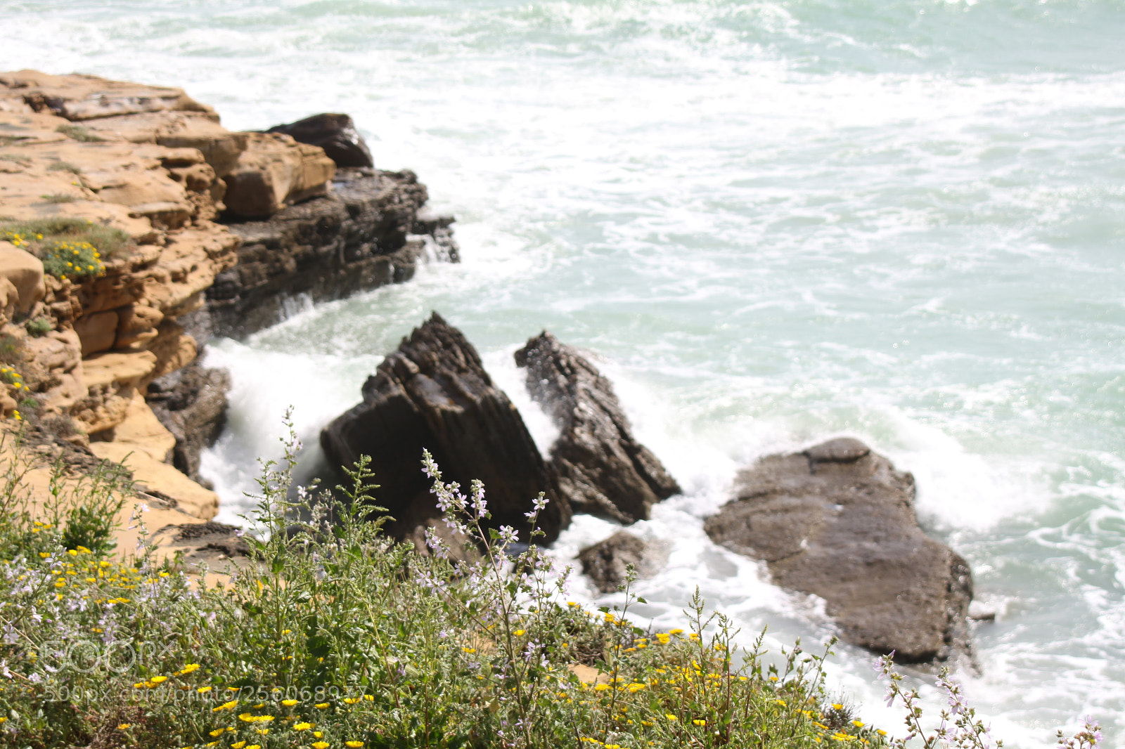 Canon EOS 50D sample photo. Algarve, portugal, march 2011 photography