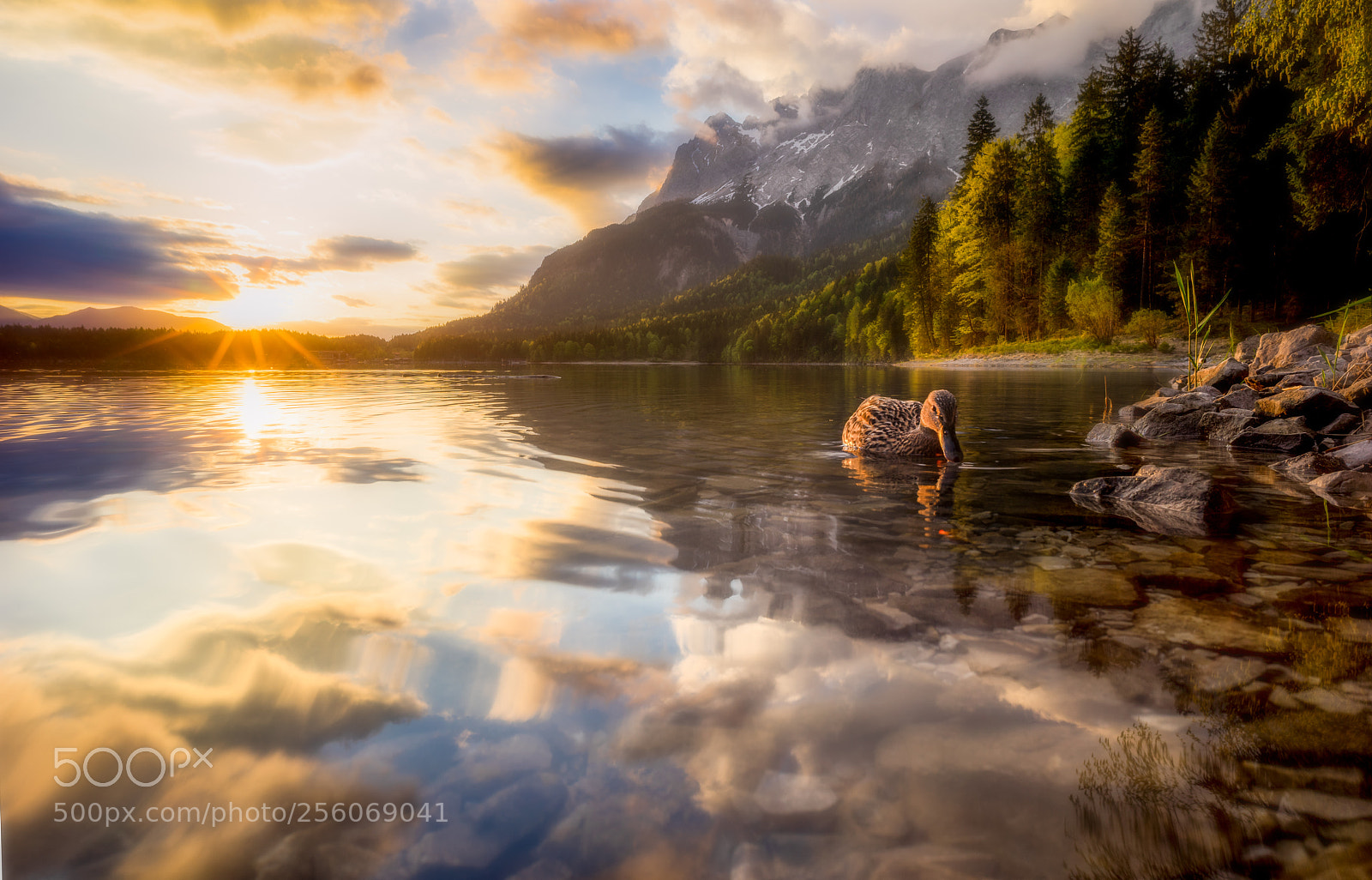 Sony a7R sample photo. Duckpond eibsee photography