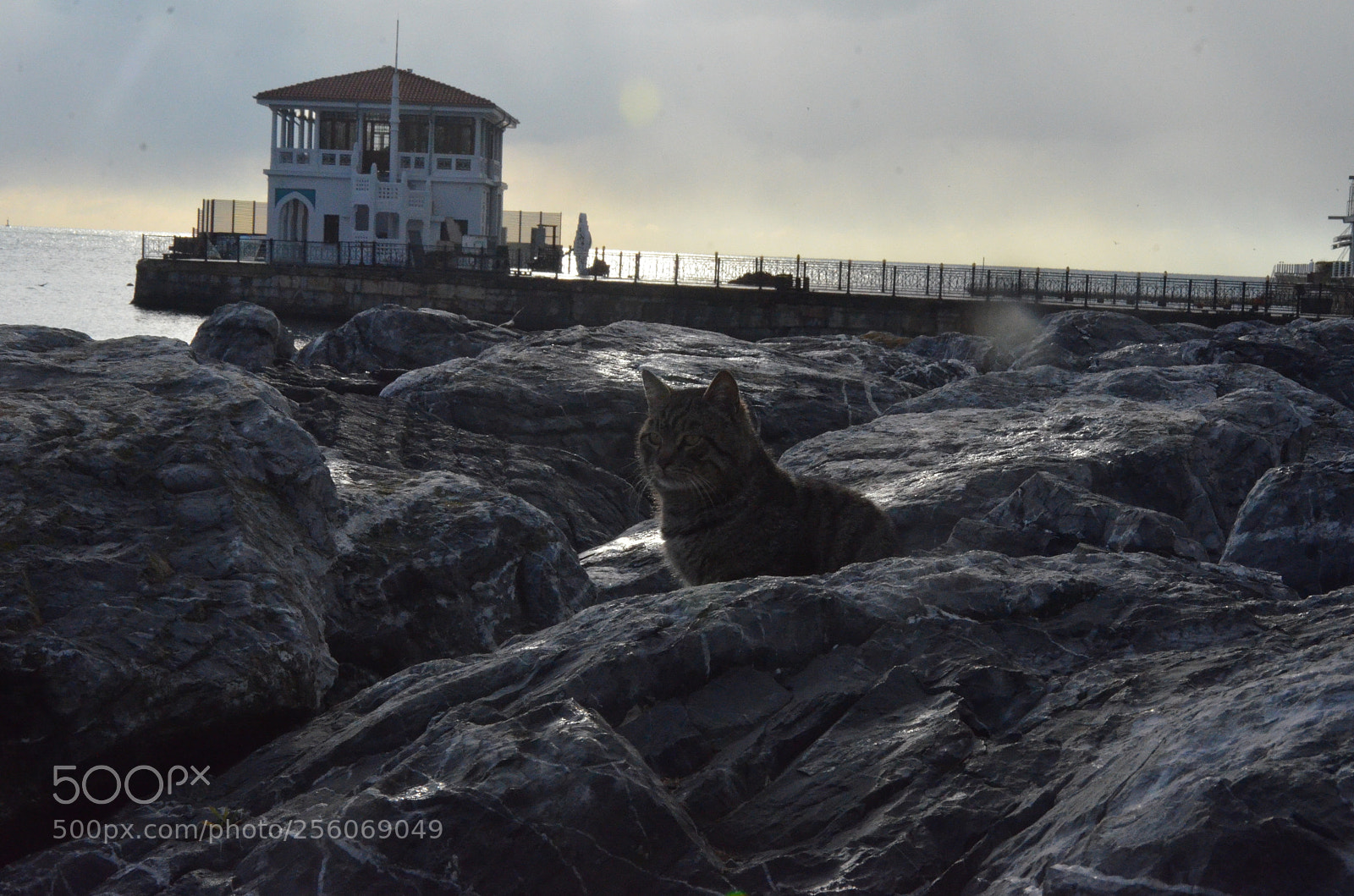 Nikon D7000 sample photo. Istanbul/kadikoy photography
